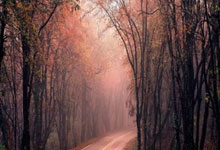 青年足总杯半决赛，曼联遭遇维拉，这一届青年梯队有啥看点？.