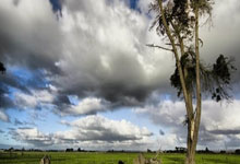 开云：欧冠资格分析：利物浦拜仁巴黎近在咫尺，英超意.