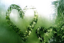 开云：世预赛客场挑战澳大利亚队 国足能否触底反弹.