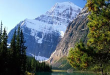 开云：周继红退休！回顾她1984年为中国夺得首枚奥运跳水金牌经典时刻.